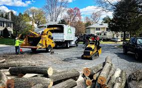 Best Mulching Services  in Bloomfield, IA